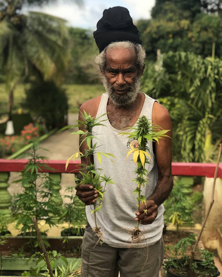 29683215_847647798770596_1837600127654176779_n